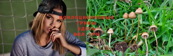 наркотики Абинск