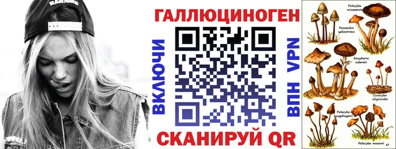 Галлюциногенные грибы MAGIC MUSHROOMS  ОМГ ОМГ как зайти  Шлиссельбург 
